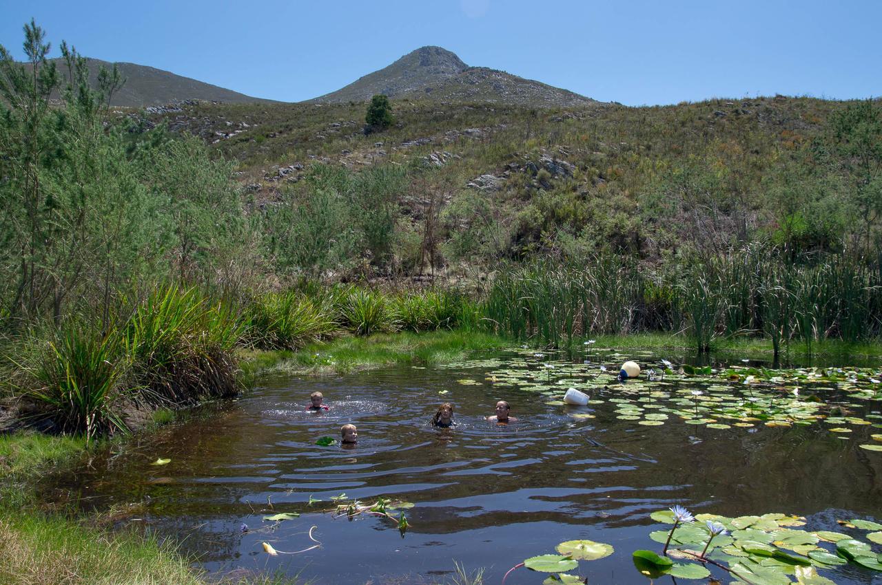 Phillipskop Mountain Reserve Stanford Exterior foto
