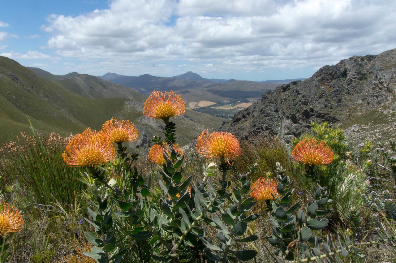 Phillipskop Mountain Reserve Stanford Exterior foto
